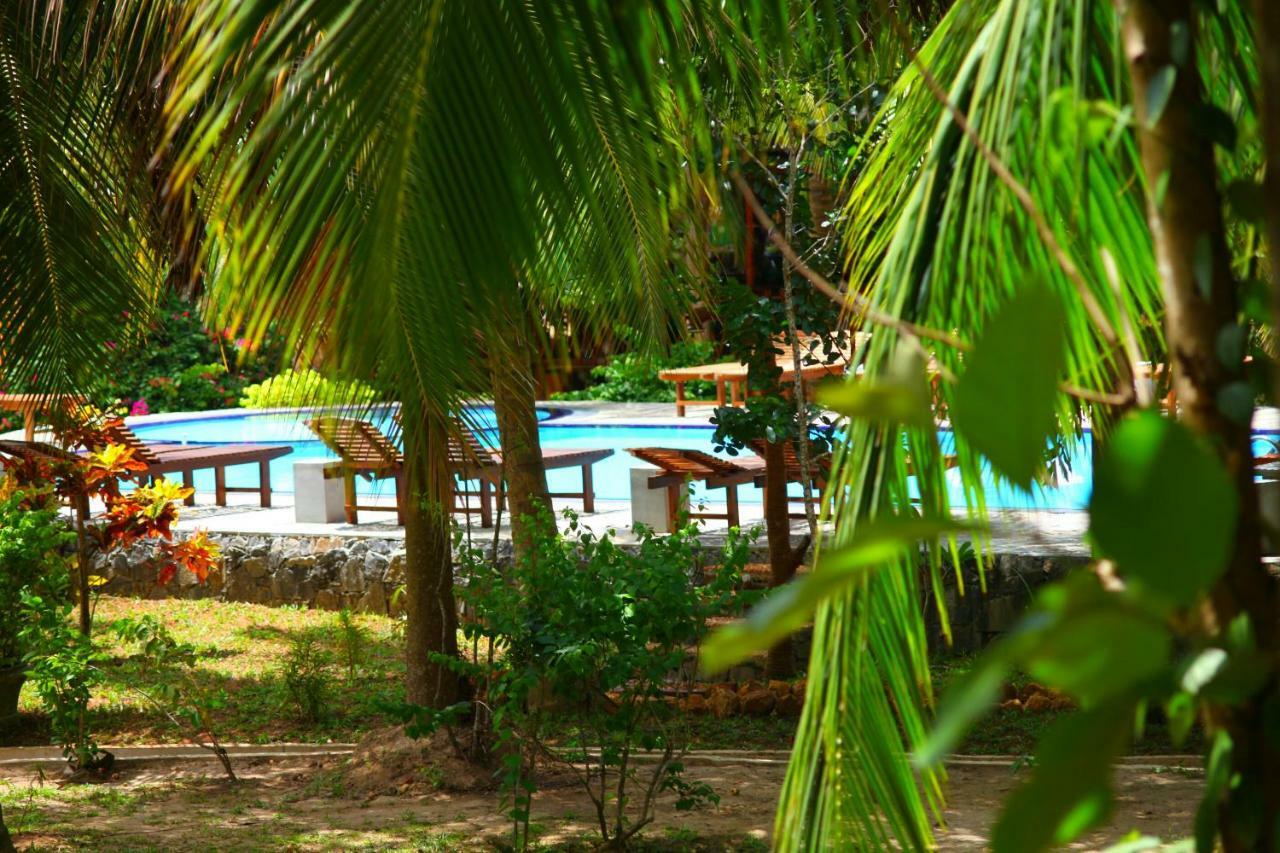 Green Garden Cabanas タンガラ エクステリア 写真
