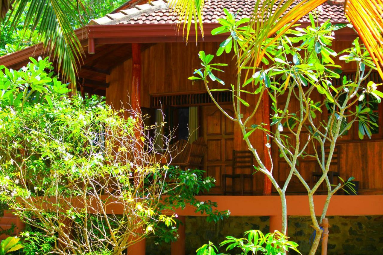 Green Garden Cabanas タンガラ エクステリア 写真