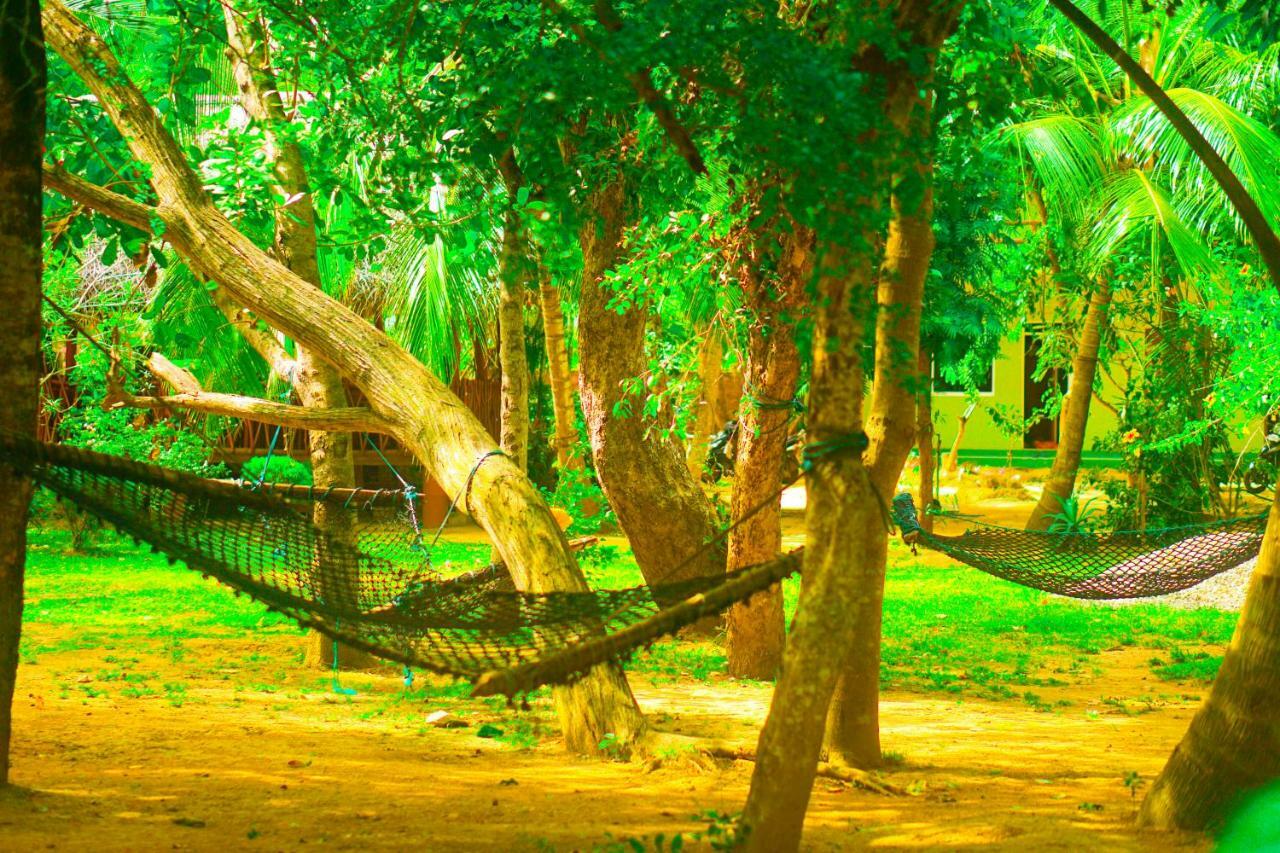 Green Garden Cabanas タンガラ エクステリア 写真
