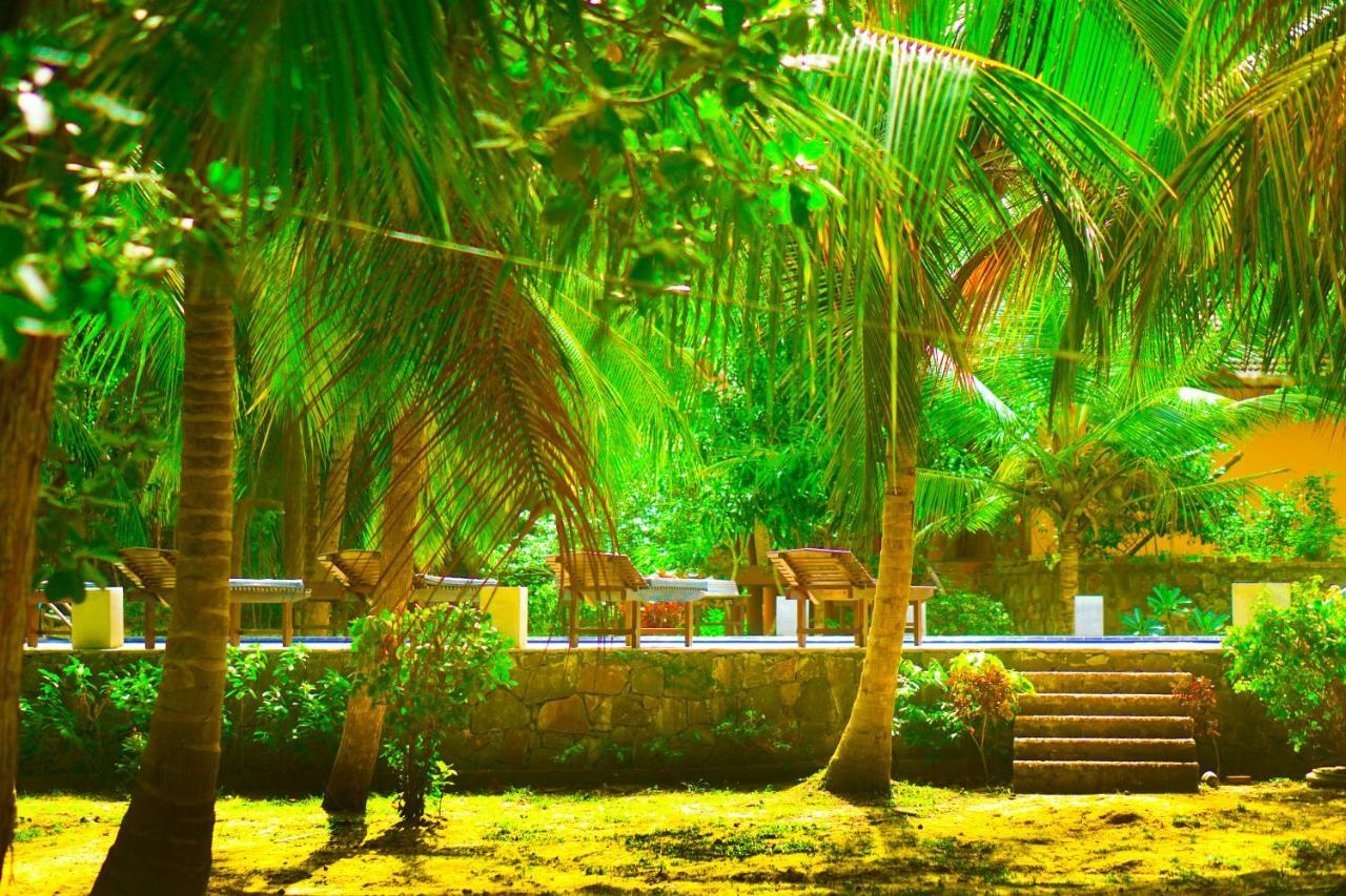 Green Garden Cabanas タンガラ エクステリア 写真